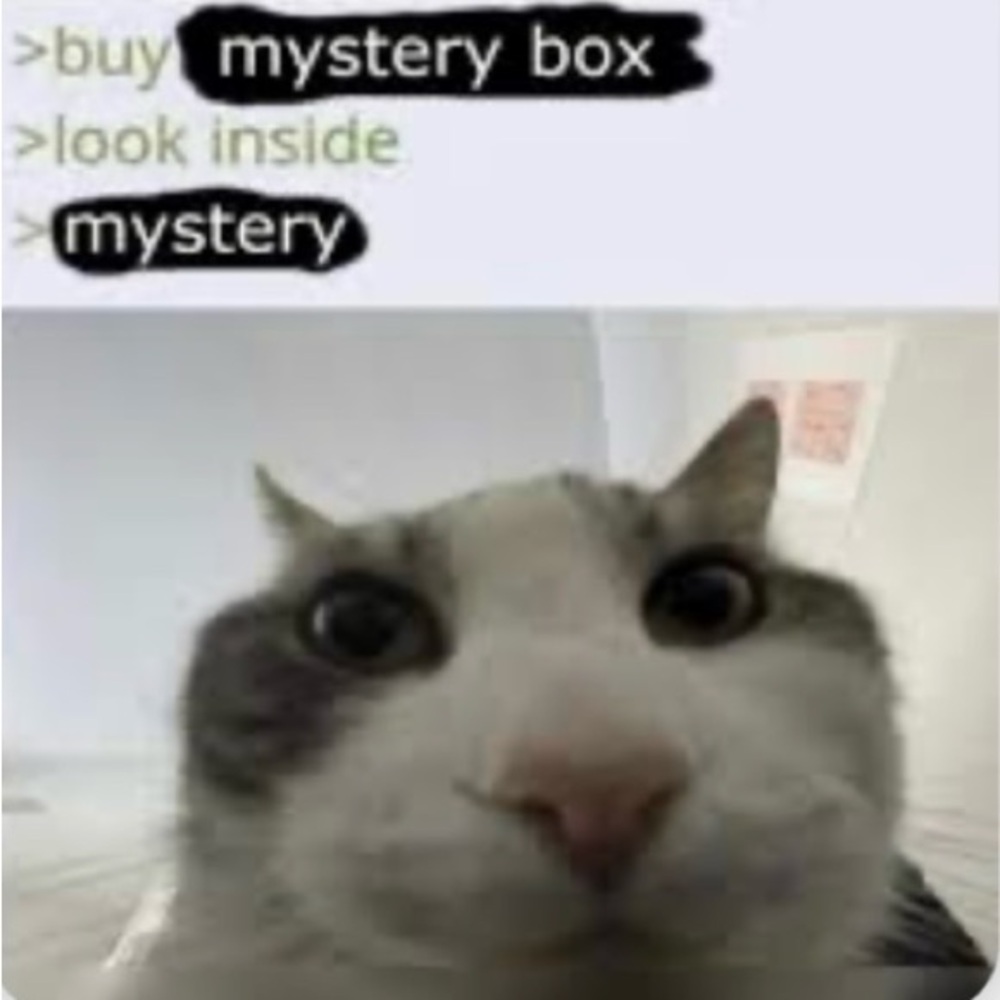 ~MYSTERY BOX OFFER~
TEN ITEMS (ALL NEW) FOR ONLY $10 !!!